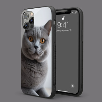 Britská krátkosrstá kočka realistic