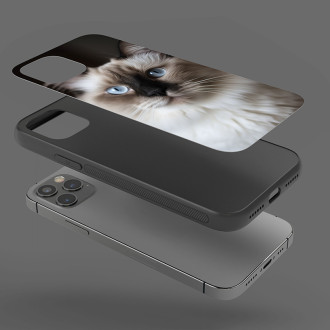 Ragdoll kočka realistic