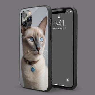 Tonkinská kočka realistic