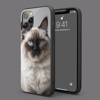 Birma kočka realistic