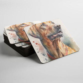 Podtácky Rhodéský ridgeback akvarel