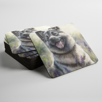 Podtácky Norský elkhound akvarel