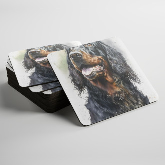 Podtácky Gordon Setr akvarel