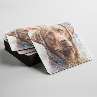 Podtácky Chesapeake Bay retrívr akvarel