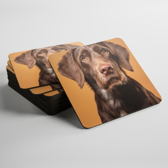 Podtácky Německý ohař drátosrstý realistic