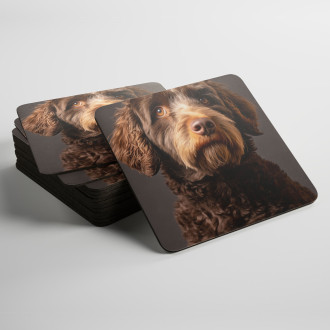 Podtácky Španělský vodní pes realistic