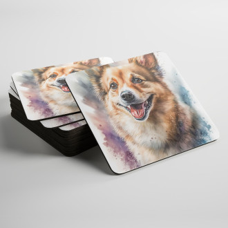 Podtácky Norský Lundehund akvarel
