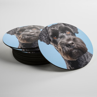 Podtácky Kerry Blue Terrier realistic