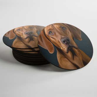 Podtácky Redbone Coonhound realistic