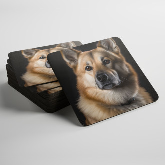 Podtácky Norský buhund realistic