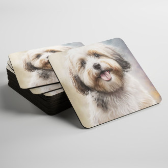 Podtácky Havanese akvarel