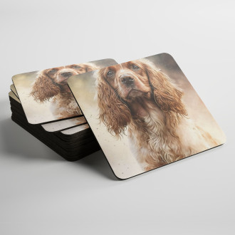 Podtácky Kokršpaněl akvarel