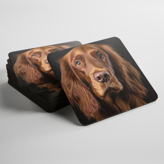 Podtácky Irský setr realistic