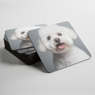 Podtácky Bišonek realistic