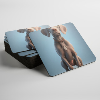 Podtácky Výmarský ohař animovaný