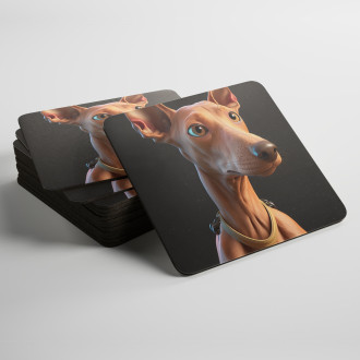 Podtácky Faraonský chrt animovaný