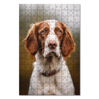 Dřevěné puzzle Welsh Springer Spaniel realistic