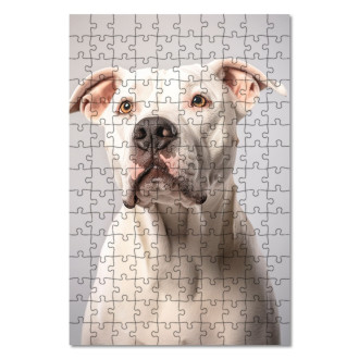 Dřevěné puzzle Argentinská doga realistic