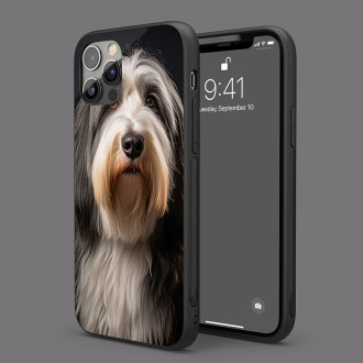 Bearded kolie realistic