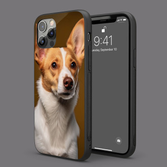 Portugalský Podengo Pequeno realistic