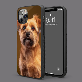 Norfolský teriér realistic