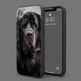 Flat Coated Retrívr realistic