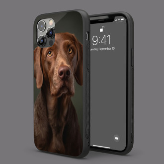 Wirehaired Vizsla realistic