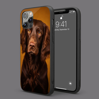 Boykin španěl realistic