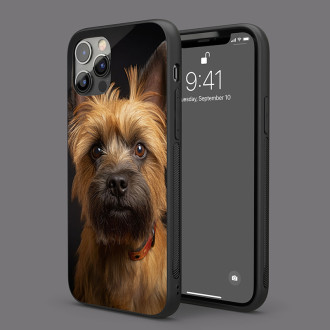 Cairn teriér realistic