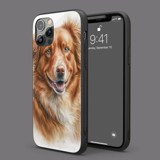 Nova Scotia Duck Toll Retriever akvarel