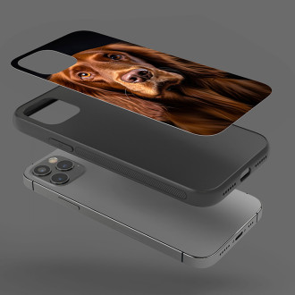 Irský setr realistic