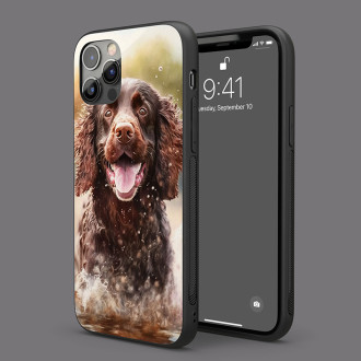 Americký vodní španěl akvarel