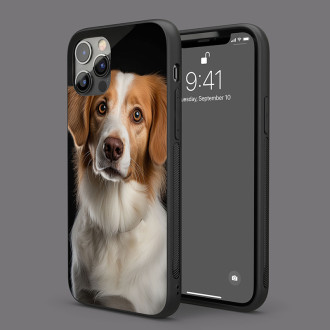 Holandský Kooikerhondje realistic