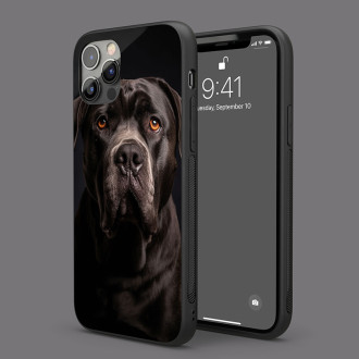 Cane Corso realistic