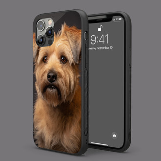 Glen of Imaal teriér realistic