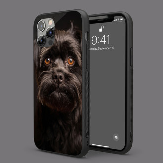 Affenpinscher pes realistic