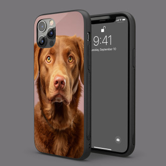 Chesapeake Bay retrívr realistic