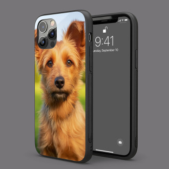 Australský teriér realistic