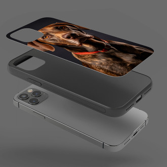 Plott Hound realistic