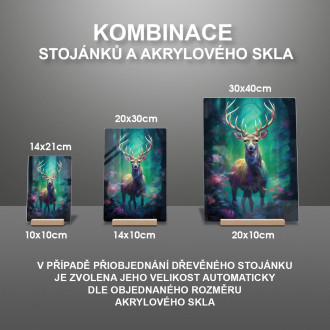 Akrylové sklo kosmický dům ve vodě s hvězdami a sluncem
