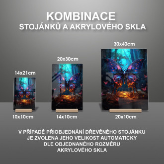 Akrylové sklo barevný motýl v tmavém lese 2