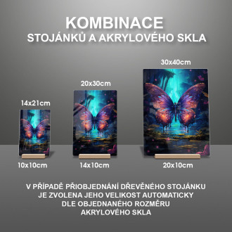 Akrylové sklo barevný motýl v tmavém lese