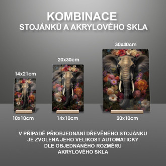 Akrylové sklo slon obklopený květinami a listy