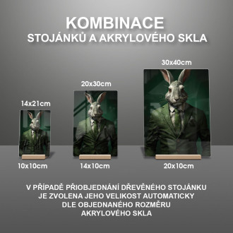 Akrylové sklo králík v zeleném obleku