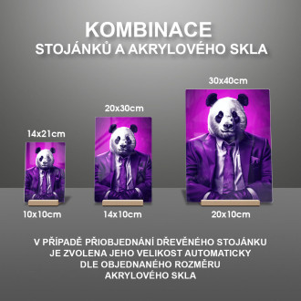 Akrylové sklo panda ve fialovém obleku a kravatě