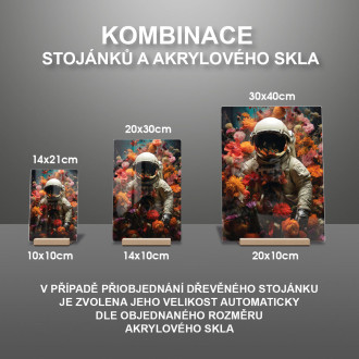 Akrylové sklo astronaut v květinovém prostoru