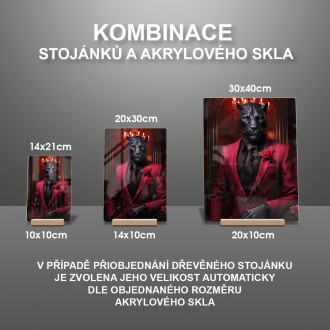Akrylové sklo černý panter v červeném obleku