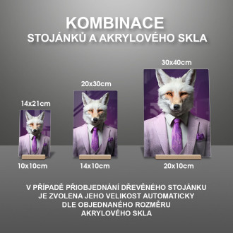 Akrylové sklo bílá liška ve fialovém obleku