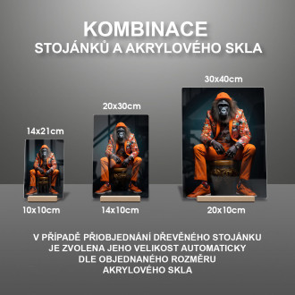 Akrylové sklo gorila v oranžovém květinovém obleku