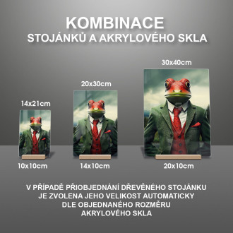 Akrylové sklo žába v obleku